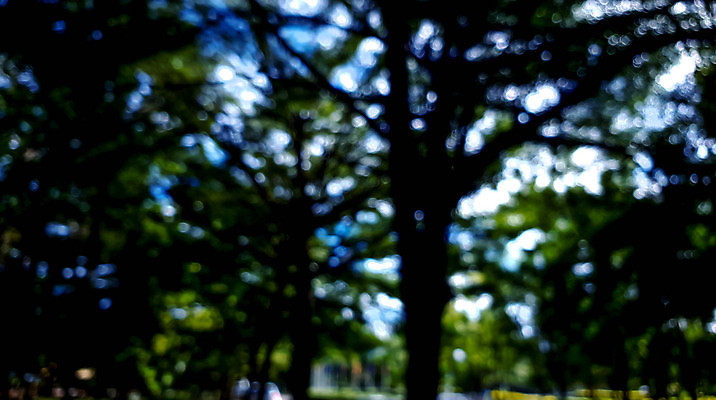 포토 JPG 해외이미지 나무 식물 디자인 계절 공원 백그라운드 컨셉 잎 패턴 자연 벽지 하늘 추상 사람없음 야외 아웃포커스 초록색 빛 컬러풀 햇빛 태양 환경 정원 봄 소프트포커스 숲 질감 보케 장면 부드러움 블러 생태학 효과 해외포토 자연요소 공공시설 교육 컬러 무늬 촬영기법 감각 생태계 파일형식 이미지허브