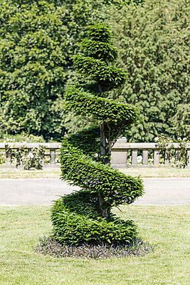 포토 JPG 해외이미지 나무 식물 디자인 공원 꽃 문화 길 여행 백그라운드 잎 건축양식 자연 하늘 미술 풍경 사람없음 야외 초록색 물 여름 크리스마스트리 평화 환경 정원 봄 바위 소나무 원예 내추럴 해외포토 자연요소 계절 공공시설 건축 컬러 컨셉 크리스마스 문화예술 취미 돌_바위 생태계 파일형식 이미지허브