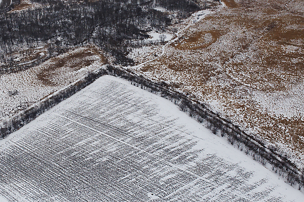 포토 JPG 해외이미지 나무 구름 계절 공원 유럽 백그라운드 크리스마스 겨울 밭 농업 자연 하늘 날씨 풍경 사람없음 야외 목재 물 파란색 빛 강 농장 농경지 냉동 얼음 일몰 추위 흰색 시골 신선 시원함 네덜란드 서리 장면 내추럴 밭일 옛날 폭설 눈내림 해외포토 자연요소 식물 공공시설 기념일 나라 산업 컬러 재료 눈_날씨 노을 자연재해 생태계 파일형식 이미지허브