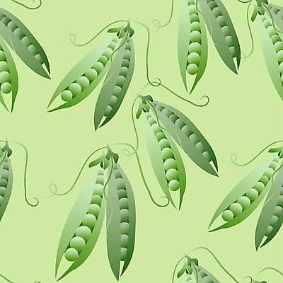 EPS 해외이미지 모양 식물 템플릿 디자인 백그라운드 꽃무늬 패턴 일러스트 자연 벽지 추상 미술 그래픽 장식 초록색 여름 정원 수확 인쇄 시리얼 먹기 그림 질감 완두콩 내추럴 엘리먼트 포장소품 해외일러스트 계절 꽃 음식 컬러 무늬 농업 포장 모션 문화예술 콩 오브젝트 생태계 포장재료 파일형식 벡터 이미지허브