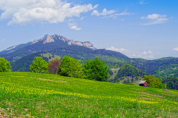 포토 JPG 해외이미지 나무 구름 계절 공원 꽃 여행 밭 자연 하늘 휴가 산 주택 파노라마 국립공원 풍경 사람없음 야외 초록색 여름 파란색 환경 계곡 봄 하이킹 벚꽃 시골 정상 숲 언덕 시골집 산봉우리 전나무 내추럴 생태학 전국 절정 해외포토 자연요소 식물 공공시설 교육 컬러 농업 레저 촬영기법 건물 생태계 봉우리 파일형식 이미지허브