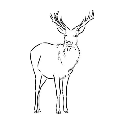EPS 해외이미지 모양 동물 손 디자인 실루엣 야생동물 선 백그라운드 크리스마스 패턴 일러스트 포유류 자연 사슴 뿔 흑백 동물원 미술 그래픽 머리 라벨 검은색 흰색 낙서 숲 스케치 문신 심볼 사인 그림 윤곽 내추럴 휘장 고립 순록 엘리먼트 엘크 총구 특별함 해외일러스트 기념일 컬러 컨셉 무늬 문화예술 프레임 촬영기법 신체부위 생태계 파일형식 벡터 이미지허브