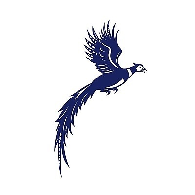 EPS 해외이미지 동물 야생동물 날개 일러스트 조류 그래픽 흰배경 복고 꿩 고립 해외일러스트 백그라운드 흰색 파일형식 벡터 이미지허브