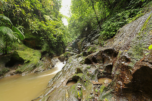 포토 JPG 해외이미지 나무 공원 벽 여행 백그라운드 자연 산 풍경 사람없음 야외 초록색 물 여름 강 평화 환경 골짜기 봄 폭포 흐름 암석 바위 개울 황무지 숲 그늘 열대우림 질감 발리 인도네시아 내추럴 해외포토 자연요소 식물 계절 공공시설 아시아 컬러 섬 컨셉 돌_바위 생태계 파일형식 이미지허브