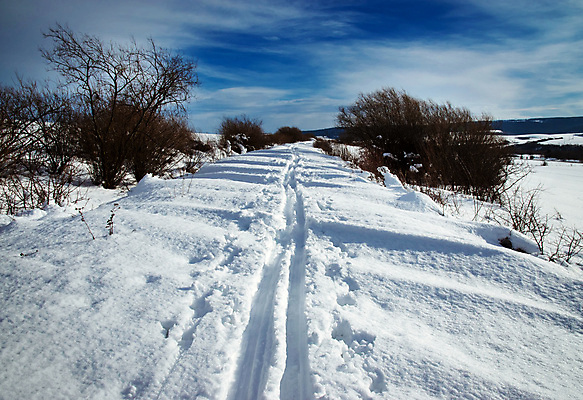 포토 JPG 해외이미지 나무 계절 길 스포츠 여행 백그라운드 십자가 겨울 자국 자연 하늘 휴가 스키 그림자 풍경 사람없음 야외 파란색 맑음 냉동 얼음 추위 흰색 숲 서리 트랙 장면 방법 선로 슬로바키아 눈내림 해외포토 자연요소 식물 유럽 컬러 날씨 겨울스포츠 눈_날씨 생태계 파일형식 이미지허브