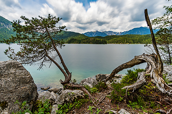 포토 JPG 해외이미지 나무 응시 계절 호수 여행 자연 표면 휴가 산 파노라마 풍경 사람없음 야외 초록색 물 여름 햇빛 맑음 하이킹 시골 숲 알프스 장면 내추럴 절정 바이에른 바이에른사람 강조 해외포토 자연요소 식물 시선 유럽 컬러 레저 날씨 독일 촬영기법 태양 생태계 파일형식 이미지허브