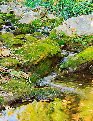 포토 JPG 해외이미지 포스터 잎 자연 벽지 산 이끼 풍경 사람없음 야외 세로 초록색 물 여름 강 햇빛 환경 침묵 봄 흐름 농촌 신선 개울 숲 명상 조경 삼림지대 스플래쉬 해외포토 자연요소 식물 계절 컬러 컨셉 태양 소리 시골 생태계 파일형식 이미지허브