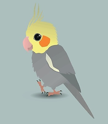 EPS 해외이미지 남자 야생동물 날개 일러스트 조류 반려동물 노란색 회색 만화 호루라기 스마트 깃털 앵무새 코믹 잉꼬 지능 해외일러스트 동물 컬러 컨셉 사람 파일형식 벡터 이미지허브