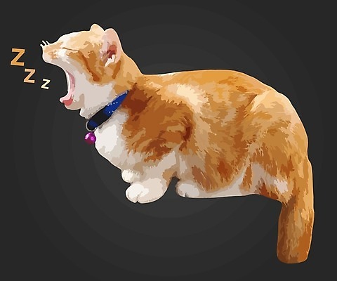 EPS 해외이미지 동물 응시 포즈 일러스트 장난 손가락 휴식 털 실내 따뜻함 피곤 가로 반려동물 갈색 고양이 흰색 표현 아기 잠 닫기 작음 만족 부드러움 위치 거짓말 해외일러스트 손 시선 감정 컬러 컨셉 포유류 모션 사람 내부 감각 크기 파일형식 벡터 이미지허브