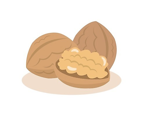 EPS 해외이미지 식물 음식 백그라운드 다이어트 과일 일러스트 재료 자연 건조 건강 씨앗 갈색 견과류 껍질 흰색 양념 플랫 맛 먹기 오브젝트 그림 유기농 알맹이 날것 호두 향료 섬유 내추럴 고립 단백질 식용 채식주의자 해외일러스트 웰빙 컬러 컨셉 모션 직물 생태계 채식 향기 냄새 영양소 파일형식 벡터 이미지허브