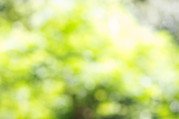 포토 JPG 해외이미지 모양 나무 식물 디자인 계절 공원 백그라운드 컨셉 잎 패턴 자연 하늘 아침 추상 미술 사람없음 야외 초록색 빛 컬러풀 햇빛 태양 환경 정원 맑음 봄 흰색 신선 원형 닫기 소프트포커스 숲 질감 보케 부드러움 내추럴 광 블러 해외포토 주간 자연요소 도형 공공시설 컬러 무늬 모션 날씨 문화예술 촬영기법 감각 생태계 파일형식 이미지허브