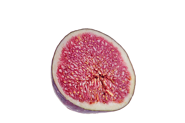 포토 JPG 해외이미지 클리핑패스 음식 조각 백그라운드 다이어트 과일 재료 부분 자연 디저트 건강 씨앗 사람없음 빨간색 파란색 보라색 활발 흰색 신선 그룹 달콤 맛 자르기 제비꽃 묘사 유기농 날것 무화과 강렬 고립 숙성 이국적 해외포토 식물 웰빙 꽃 컬러 컨셉 모션 생태계 파일형식 이미지허브