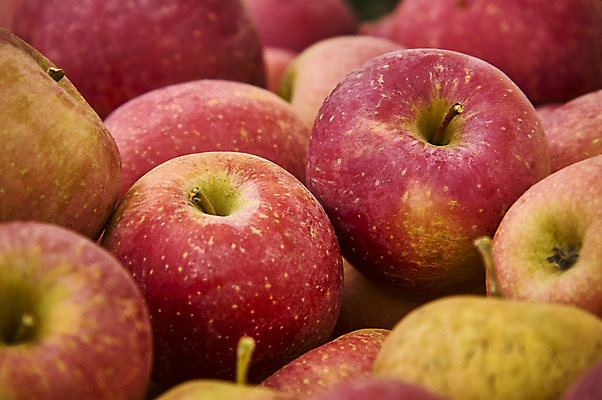 포토 JPG 해외이미지 계절 음식 백그라운드 잎 농업 다이어트 오렌지 과일 재료 자연 탁자 디저트 건강 사람없음 목재 빨간색 초록색 여름 컬러풀 노란색 정원 수확 가을 흰색 신선 그룹 달콤 맛 사과 먹기 유기농 날것 내추럴 고립 숙성 채식주의자 해외포토 나무 식물 웰빙 산업 컬러 가구 컨셉 모션 생태계 채식 파일형식 이미지허브