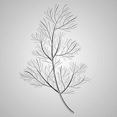 EPS 해외이미지 나무 식물 1 전통 디자인 음식 줄기 백그라운드 잎 크리스마스 꽃무늬 농업 일러스트 자연 휴가 파슬리 요리 미술 초록색 흰색 나뭇가지 신선 고명 양념 정상 스케치 허브 향신료 유기농 향 고립 딜 엘리먼트 회향 해외일러스트 웰빙 기념일 꽃 산업 컬러 무늬 채소 문화예술 생태계 향미료 파일형식 벡터 이미지허브