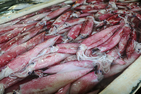 포토 JPG 해외이미지 동물 접시 아시아 음식 바다 백그라운드 재료 자연 낚시 건강 어류 요리 동양인 사람없음 빨간색 물 상자 갈색 세일 상점 주방 일본 얼음 식사 저녁식사 추위 흰색 신선 잡기 시장 맛 먹기 해산물 오징어 날것 문어 촉수 내추럴 고립 해외포토 자연요소 식기 나라 컬러 컨셉 모션 레저 연체동물 인종 수중동물 생태계 파일형식 이미지허브