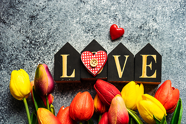 포토 JPG 해외이미지 꽃 회색배경 사람없음 장식 블록 튤립 하트 집모양 카피스페이스 해외포토 모양 식물 백그라운드 공백 회색 파일형식 이미지허브