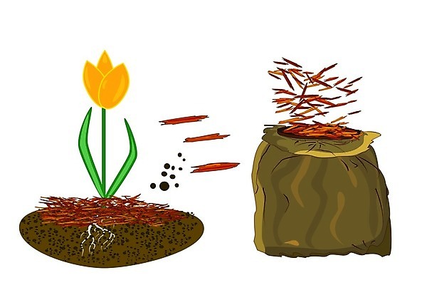 EPS 해외이미지 식물 디자인 배너 꽃 농업 가방 일러스트 주택 간판 풍경 목재 빨간색 라벨 세일 정원 흙 봄 튤립 신선 소나무 잡초 플랫 만화 청소 서비스 물주기 흰배경 유기농 원예 조경 번짐 화단 나무껍질 유지 고립 돌봄 뒤뜰 무생채 삼나무 해외일러스트 나무 웰빙 잡화 계절 산업 컬러 재료 모션 프레임 취미 건물 껍질 흰색 파일형식 벡터 효과 건축물 건축 이미지허브
