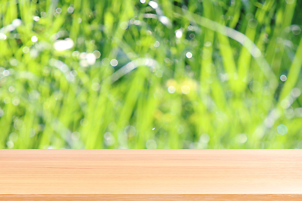 포토 JPG 해외이미지 계절 백그라운드 잎 밭 자연 탁자 아침 날씨 선반 잔디 사람없음 목재 초록색 빛 햇빛 우주 환경 정원 맑음 일몰 봄 성장 신선 떨어짐 상품 정상 숲 이슬 보케 부드러움 내추럴 땅바닥 생태학 해외포토 주간 나무 식물 교육 컬러 가구 컨셉 농업 재료 바닥 태양 노을 감각 생태계 파일형식 이미지허브