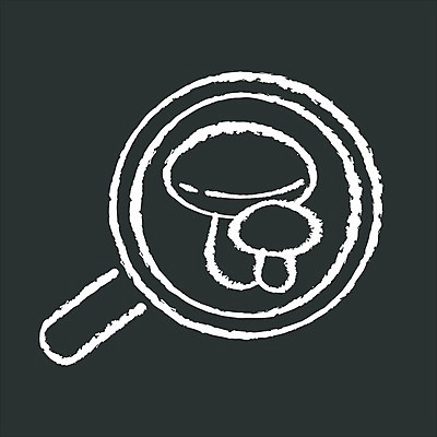 EPS 해외이미지 식물 디자인 교육 선 과학 백그라운드 컨셉 인터넷 일러스트 자연 스터디 검은색 웹 칠판 버섯 성장 흰색 낙서 강의 스케치 심볼 사인 검색 그림 분필 생물학 윤곽 손그림 확대경 온라인 내추럴 고립 곰팡이 규율 그물버섯 활자 해외일러스트 컬러 미술 학습 초크 생태계 활자판 파일형식 벡터 문화예술 인쇄판 인쇄 이미지허브