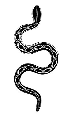 EPS 해외이미지 동물 템플릿 디자인 일러스트 추상 잉크 장식 검은색 어둠 힘 골동품 독약 뱀 중세 인쇄 신비 스케치 문신 사인 그림 꼬리 공상 마법 부족 고딕 고립 그런지 옛날 스타일 해외일러스트 컬러 컨셉 무늬 파충류 미술 역사 파일형식 벡터 이미지허브