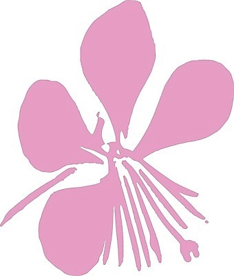 EPS 해외이미지 식물 계절 꽃잎 꽃 줄기 분홍색 꽃다발 백그라운드 잎 꽃무늬 일러스트 자연 장식 초록색 여름 컬러풀 장미 노란색 머리 정원 봄 벚꽃 흰색 축하 신선 개화 우아함 닫기 묘사 싱글 데이지 내추럴 고립 해외일러스트 컬러 컨셉 무늬 모션 신체부위 생태계 파일형식 벡터 이미지허브