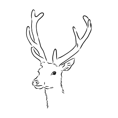 포토 JPG 해외이미지 동물 손 디자인 남자 실루엣 야생동물 선 백그라운드 크리스마스 일러스트 포유류 자연 사슴 뿔 동물원 미술 사람없음 그래픽 장식 머리 흰색 신용카드 숲 스케치 심볼 사인 그림 코 사냥 윤곽 귀 손그림 주둥이 고립 순록 총구 스타일 힙스터 현실 해외일러스트 패션 기념일 컬러 문화예술 촬영기법 사람 신체부위 금융 생태계 파일형식 이미지허브