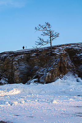 포토 JPG 해외이미지 나무 식물 1 계절 유럽 백그라운드 겨울 자연 날씨 풍경 사람없음 야외 목재 환경 냉동 검은색 추위 흰색 나뭇가지 시골 죽음 고독 숲 싱글 러시아 장면 내추럴 고립 폭설 혼자 눈내림 해외포토 감정 나라 컬러 재료 눈_날씨 자연재해 생태계 파일형식 이미지허브