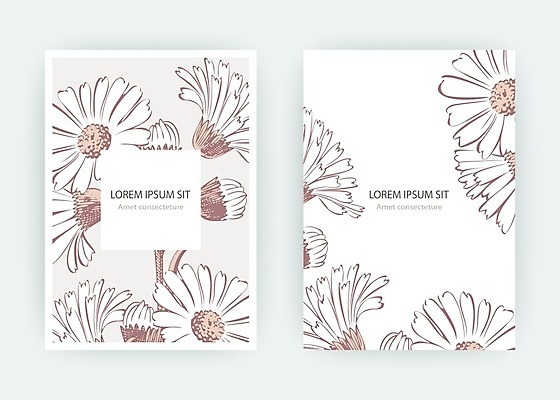 EPS 해외이미지 식물 템플릿 손 디자인 꽃 포스터 결혼 백그라운드 컨셉 꽃무늬 패턴 일러스트 자연 프레임 국화 그래픽 여름 빛 파티 유행 쪽지 봄 덮개 벚꽃 흰색 인사 신용카드 낙서 스케치 데이지 심플 초대 금잔화 고립 캐모마일 파스텔톤 헤딩 미니멀리스트 미니멀 해외일러스트 계절 컬러 무늬 미술 이벤트 신체부위 금융 축구 뚜껑 예절 허브 생태계 파일형식 벡터 이미지허브