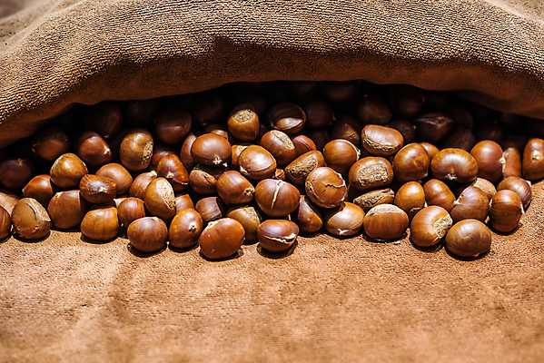 포토 JPG 해외이미지 전통 계절 음식 백그라운드 크리스마스 겨울 과일 재료 자연 휴가 건강 요리 사람없음 아웃포커스 갈색 탑 견과류 수확 껍질 가을 시골 신선 뜨거움 달콤 맛 굽기 묘사 유기농 질감 날것 흙더미 내추럴 식용 채식주의자 해외포토 건축물 웰빙 기념일 컬러 컨셉 농업 촬영기법 흙 구이 생태계 채식 파일형식 더미 이미지허브