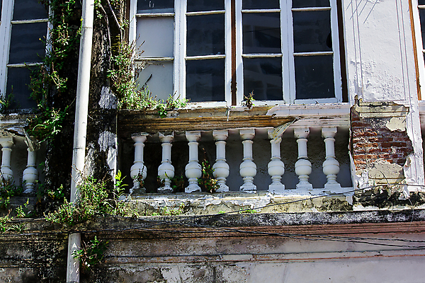 포토 JPG 해외이미지 식물 디자인 잎 꽃무늬 패턴 자연 날씨 추상 멕시코 서기 사람없음 야외 건물 가로 세로 초록색 컬러풀 페인트 봄 성장 신선 잡기 변화 사회이슈 질감 기회 개성 곰팡이 심기 양치류 역경 열대기후 콘크리트 생존 해외포토 건축물 계절 꽃 컬러 컨셉 북아메리카 무늬 모션 생태계 파일형식 이미지허브