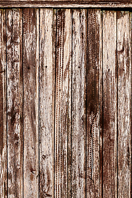 포토 JPG 해외이미지 디자인 외관 벽 백그라운드 패턴 표면 날씨 추상 건조 사람없음 야외 목재 세로 울타리 검은색 어둠 회색 흰색 판넬 거친 널 무서움 질감 복고 목공예 잡동사니 내추럴 구식 그런지 수목 옛날 해외포토 나무 감정 컬러 무늬 재료 담장 공예 파일형식 이미지허브