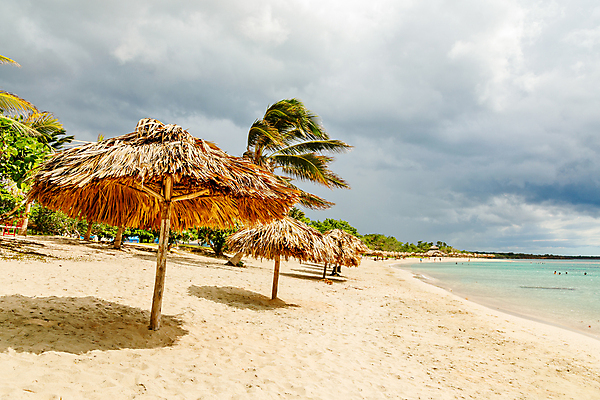 포토 JPG 해외이미지 나무 모래 파도 바다 섬 여행 우산 자연 하늘 휴가 손바닥 풍경 사람없음 야외 물 여름 모래사장 태양 맑음 목장 휴양지 쿠바 밀짚 대서양 이국적 파라다이스 수평선 해외포토 자연요소 식물 손 계절 날씨 장소 중앙아메리카 짚 생태계 파일형식 이미지허브