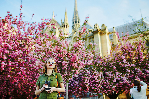 포토 JPG 해외이미지 나무 식물 백인 모델 공원 여자 꽃잎 꽃 유럽 커피 음료 분홍색 가방 자연 거리 한명 사람 성인 야외 금발 선글라스 유행 정원 봄 프랑스 벚꽃 흰색 도시 우아함 4월 날씬함 내추럴 프랑스어 스타일 파리(프랑스) 해외포토 서양인 문자 1 헤어스타일 잡화 계절 공공시설 나라 안경 컬러 컨셉 날짜 몸매 생태계 파일형식 이미지허브