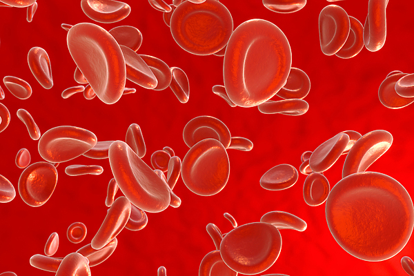 JPG 해외이미지 의학 세포 사람없음 빨간색 3D 혈액 적혈구 해외포토 포토 컬러 디지털합성 혈구 파일형식 이미지허브