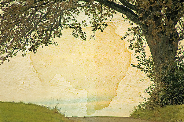 포토 JPG 해외이미지 나무 단풍 하늘 미래 프레임 흑백 사람없음 초록색 갈색 노란색 어둠 회색 수확 골동품 시간 역사 목표 복고 과거 바둑 그런지 방법 옛날 해외포토 식물 컬러 컨셉 잎 농업 놀이 촬영기법 파일형식 이미지허브