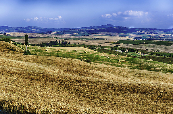 포토 JPG 해외이미지 나무 유럽 도로 여행 밭 농업 자연 건조 풍경 사람없음 야외 초록색 여름 농장 농경지 이탈리아 시골 땅 밀 언덕 장면 토스카나 해외포토 식물 계절 나라 산업 길 컬러 교통시설 곡류 생태계 파일형식 이미지허브