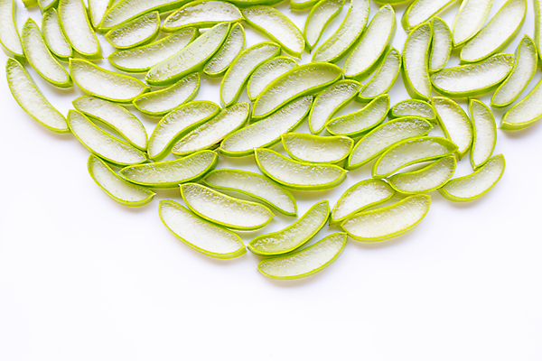 포토 JPG 해외이미지 스튜디오촬영 단면 실내 사람없음 흰배경 알로에 해외포토 식물 백그라운드 내부 흰색 파일형식 이미지허브