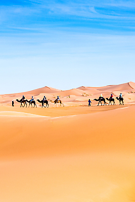 포토 JPG 해외이미지 모래 여행 백그라운드 오렌지 아프리카 자연 하늘 건조 풍경 사람없음 야외 노란색 일몰 사막 뜨거움 모래언덕 언덕 낙타 모로코 사하라 아랍어 카라반 해외포토 나라 컬러 과일 포유류 노을 생태계 캠핑카 파일형식 이미지허브