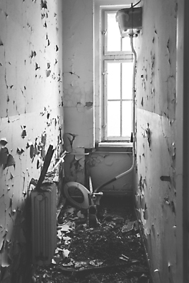 포토 JPG 해외이미지 벽 건축양식 주택 사람없음 내부 빛 검은색 방 욕실 수확 흰색 역사 위생 오브젝트 화장실 복고 변기 변기통 옛날 위생관리 스타일 해외포토 건축 컬러 농업 관리 건물 파일형식 이미지허브