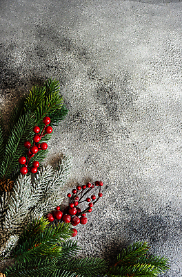 포토 JPG 해외이미지 나무 열매 리본 백그라운드 크리스마스 공 휴가 프레임 선물 사람없음 빨간색 회색 바위 시골 신용카드 12월 부식 엽서 시멘트 전나무 원뿔 콘크리트 카피스페이스 해외포토 도형 식물 기념일 컬러 금융 공백 돌_바위 날짜 편지 파일형식 이미지허브