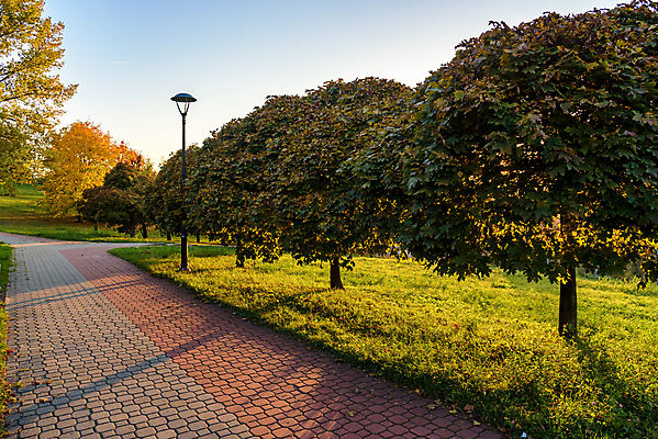 포토 JPG 해외이미지 나무 식물 계절 공원 백그라운드 잎 오렌지 자연 하늘 풍경 사람없음 야외 목재 빨간색 초록색 빛 햇빛 태양 노란색 환경 맑음 일몰 가을 시골 황금 저녁 숲 9월 11월 폴란드 10월 내추럴 옛날 해외포토 자연요소 공공시설 유럽 컬러 과일 재료 날씨 노을 날짜 야간 생태계 파일형식 이미지허브