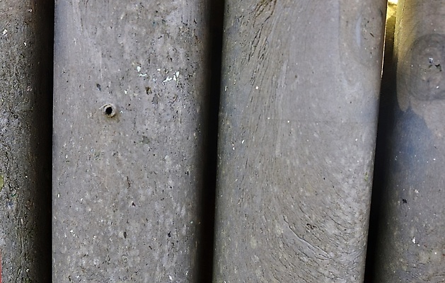 포토 JPG 해외이미지 나무 디자인 벽 백그라운드 패턴 건축양식 자연 유리 벽지 표면 사람없음 물 갈색 검은색 어둠 공백 회색 수확 거친 균열 닫기 떨어짐 묘사 질감 대리석 시멘트 그런지 석고 옛날 콘크리트 화강암 카피스페이스 해외포토 자연요소 식물 건축 컬러 컨셉 무늬 농업 재료 모션 재질 암석 생태계 파일형식 이미지허브