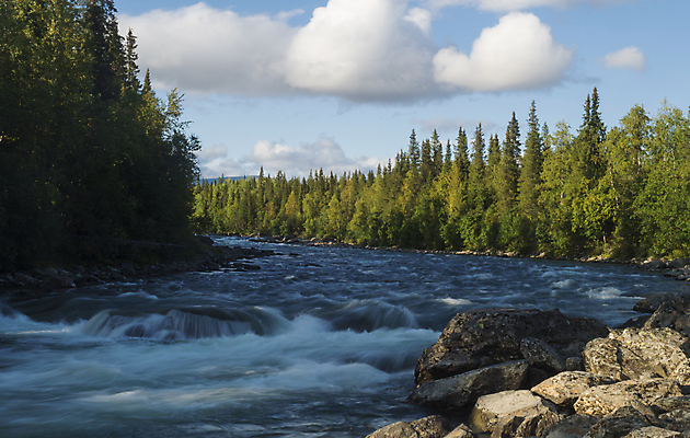 포토 JPG 해외이미지 나무 구름 여행 백그라운드 모션 자연 휴가 산 스웨덴 풍경 사람없음 야외 물 여름 파란색 강 환경 맑음 폭포 흐름 바위 개울 급류 떨어짐 숲 속도 분무기 북쪽 블러 스칸디나비아 해외포토 자연요소 식물 계절 컬러 컨셉 날씨 북유럽 돌_바위 방향 생태계 파일형식 이미지허브