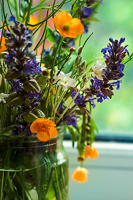 포토 JPG 해외이미지 주간 식물 꽃 분홍색 꽃다발 잎 밭 오렌지 자연 유리 아침 따뜻함 사람없음 초록색 물 파란색 빛 컬러풀 노란색 새싹 꽃병 맑음 침묵 기쁨 들꽃 터치 벚꽃 흰색 신선 항아리 허브 제비꽃 향기 냄새 부드러움 정물화 해외포토 자연요소 감정 컬러 농업 과일 재질 날씨 소리 도자기 감각 그림 생태계 파일형식 이미지허브