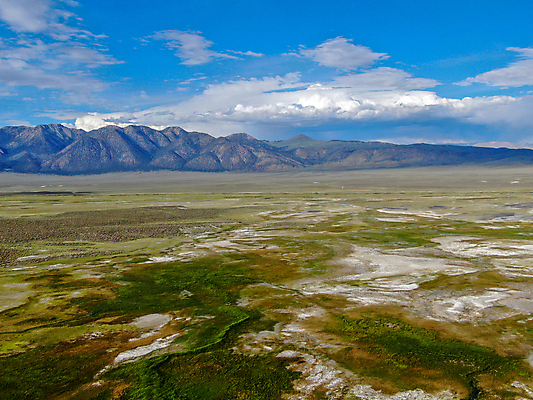 포토 JPG 해외이미지 동물 호수 밭 농업 자연 하늘 휴가 산 풍경 사람없음 야외 초록색 여름 컬러풀 농경지 환경 계곡 미국 우유 시골 황무지 소 땅 언덕 캘리포니아 멸종위기동물 매머드 밭일 조감도 해외포토 계절 산업 컬러 북아메리카 포유류 유제품 농장 생태계 파일형식 멸종위기종 이미지허브