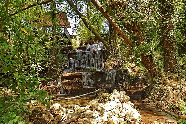 포토 JPG 해외이미지 나무 계절 백그라운드 자연 풍경 사람없음 야외 물 여름 환경 폭포 흐름 추위 투명 작음 질감 해외포토 자연요소 식물 컨셉 크기 생태계 파일형식 이미지허브