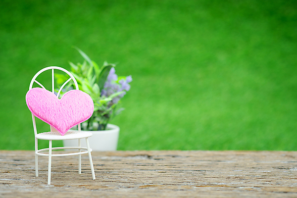 포토 JPG 해외이미지 모양 식물 디자인 꽃 행복 벽 분홍색 꽃다발 결혼 백그라운드 꽃무늬 밭 벤치 의자 베개 자연 휴가 휴식 발렌타인데이 사랑 사람없음 목재 초록색 파란색 빛 우주 정원 침묵 공백 수확 발코니 하트 신선 클래식 냄비 철 레이아웃 2월 뒤뜰 미니 썩음 해외포토 나무 감정 컬러 가구 컨셉 무늬 농업 재료 침구 데이이벤트 이벤트 소리 날짜 솥 생태계 파일형식 이미지허브