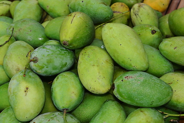 포토 JPG 해외이미지 라이프스타일 음식 조각 백그라운드 잎 다이어트 오렌지 과일 재료 부분 자연 디저트 귤 건강 사람없음 초록색 여름 노란색 흰색 신선 그룹 시장 달콤 농부 먹기 오브젝트 싱글 유기농 망고 내추럴 고립 숙성 채식주의자 해외포토 식물 직업 웰빙 계절 컬러 모션 생활 맛 열대과일 생태계 채식 파일형식 이미지허브