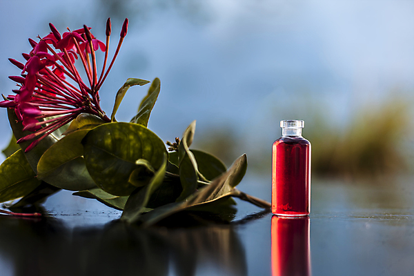 포토 JPG 해외이미지 웰빙 꽃 백그라운드 유리 휴식 건강 사람없음 치료 약 스파 봄 마사지 약초 그래피티 인도인 허브 집중 향수 꿀 아로마테라피 테라피 돌봄 서쪽 에센스 추출 투입 해외포토 외국인 식물 계절 컨셉 의학 모션 재질 동양인 뷰티 화장품 풀_식물 낙서 방향 그림 파일형식 이미지허브