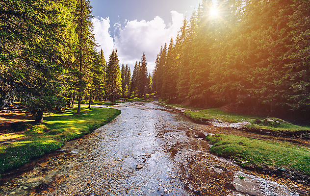 포토 JPG 해외이미지 나무 구름 여행 백그라운드 모션 자연 하늘 산 풍경 사람없음 야외 목재 초록색 물 여름 빛 강 햇빛 환경 계곡 침묵 흐름 바위 신선 개울 황무지 숲 즐거움 장면 내추럴 생태학 해외포토 자연요소 식물 계절 교육 감정 컬러 컨셉 재료 태양 소리 돌_바위 생태계 파일형식 이미지허브